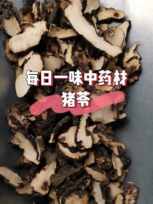 猪苓的功效与作用-猪苓的图片样子
