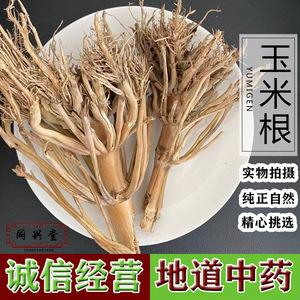 玉蜀黍根的功效与作用-玉蜀黍根的图片样子