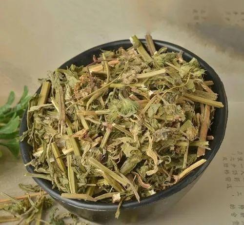 益母草的功效与作用-益母草的图片样子