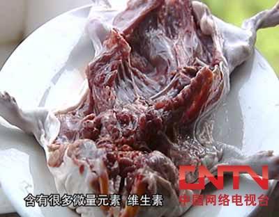 竹鼠肉的功效与作用-竹鼠肉的图片样子