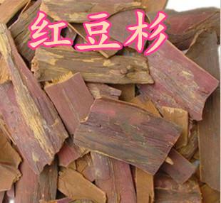 紫杉的功效与作用-紫杉的图片样子