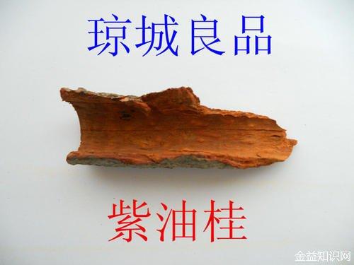 紫油木皮的功效与作用-紫油木皮的图片样子
