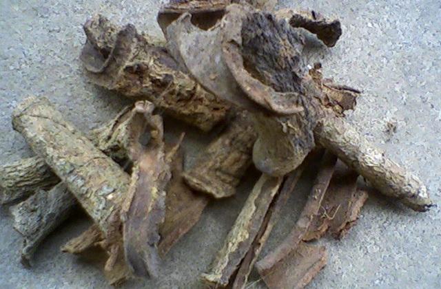 紫荆根皮的功效与作用-紫荆根皮的图片样子