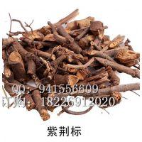 紫金标的功效与作用-紫金标的图片样子