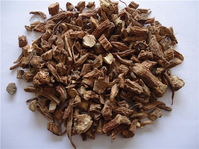续断的功效与作用-续断的图片样子