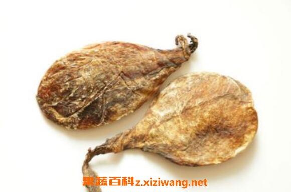 羊胆的功效与作用-羊胆的图片样子