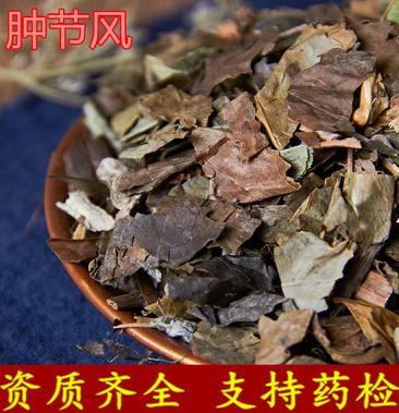 肿节风的功效与作用-肿节风的图片样子
