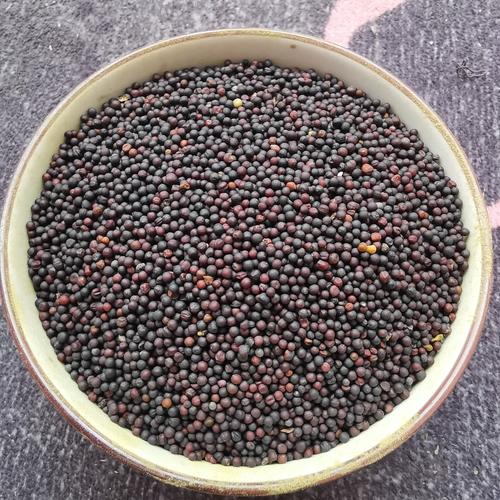 芸薹子的功效与作用-芸薹子的图片样子