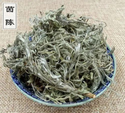 茵陈的功效与作用-茵陈的图片样子