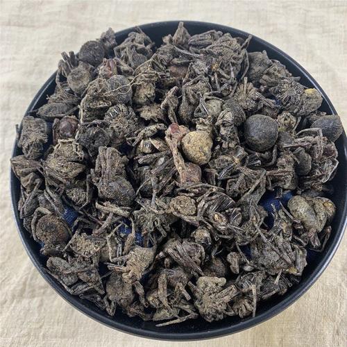 蜘蛛网的功效与作用-蜘蛛网的图片样子
