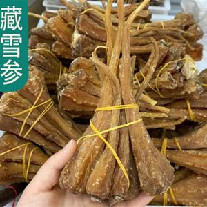血参的功效与作用-血参的图片样子