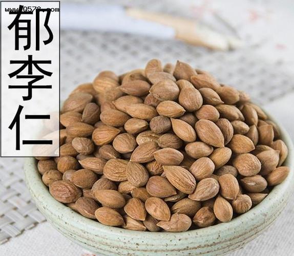郁李仁─欧李的功效与作用-郁李仁─欧李的图片样子