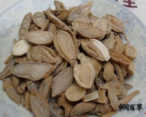 阴晚的功效与作用-阴晚的图片样子
