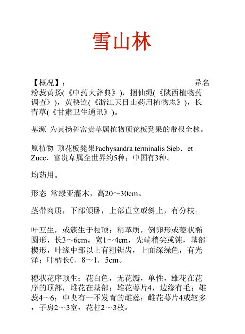 雪山林的功效与作用-雪山林的图片样子
