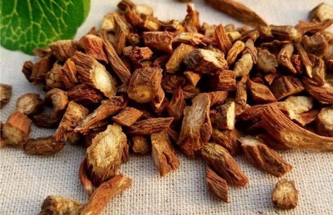 丹参的功效与作用,丹参的功效与作用及禁忌的功效与作用茯苓的功效与作用-丹参的功效与作用,丹参的功效与作用及禁忌的功效与作用茯苓的图片样子