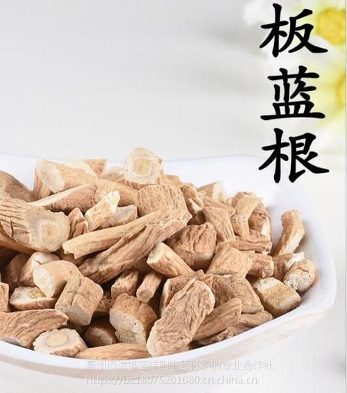 为什么板蓝根不给买,为什么大家要买板蓝根的功效与作用-为什么板蓝根不给买,为什么大家要买板蓝根的图片样子
