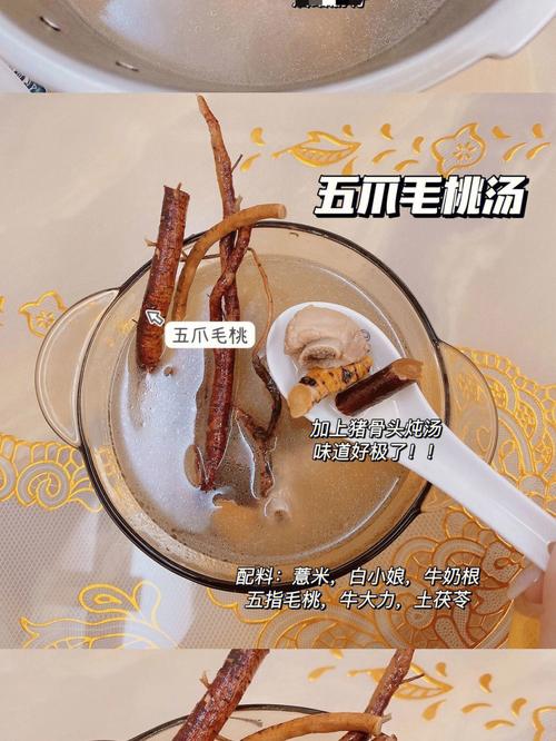 五指毛桃煲汤的最佳配方,牛大力与什么搭配煲汤最佳的功效与作用-五指毛桃煲汤的最佳配方,牛大力与什么搭配煲汤最佳的图片样子