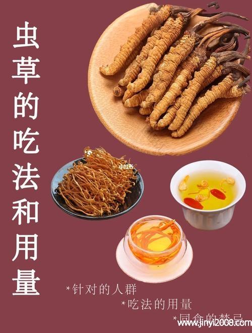 冬虫夏草主要的疗效是,冬虫夏草的药性是的功效与作用-冬虫夏草主要的疗效是,冬虫夏草的药性是的图片样子