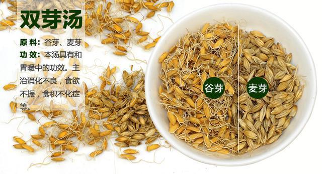 发芽的谷子有什么功效,发芽的谷子有什么功效与作用的功效与作用-发芽的谷子有什么功效,发芽的谷子有什么功效与作用的图片样子