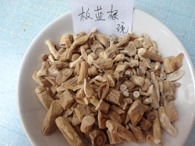 大叶板蓝根和小叶板蓝根的区别,小叶板蓝根和大叶板蓝根有什么区别的功效与作用-大叶板蓝根和小叶板蓝根的区别,小叶板蓝根和大叶板蓝根有什么区别的图片样子