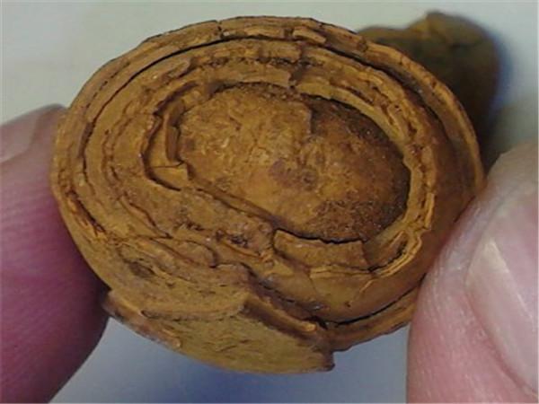天然牛黄,天然牛黄的功效与作用的功效与作用-天然牛黄,天然牛黄的功效与作用的图片样子