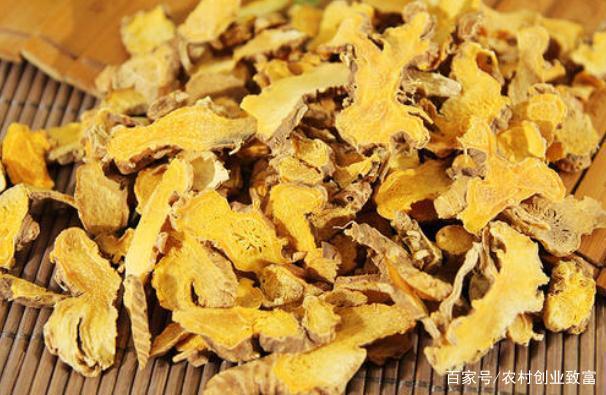 射干中药材的功效与作用-射干中药材的图片样子