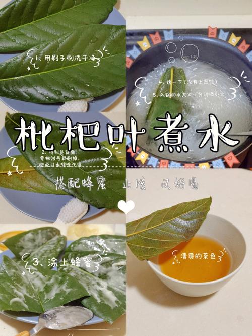 小孩喝枇杷叶煮水有副作用吗,枇杷叶煮水的正确方法的功效与作用-小孩喝枇杷叶煮水有副作用吗,枇杷叶煮水的正确方法的图片样子
