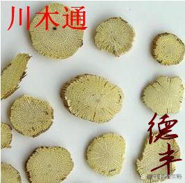 川木通和三叶木通的区别,川木通和木通有什么区别的功效与作用-川木通和三叶木通的区别,川木通和木通有什么区别的图片样子