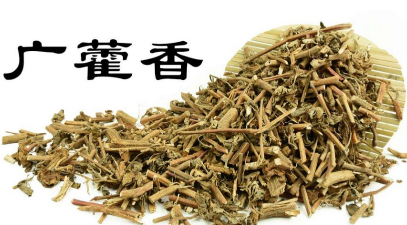 广藿香的功效与作用,广藿香的功效与作用吃法的功效与作用-广藿香的功效与作用,广藿香的功效与作用吃法的图片样子