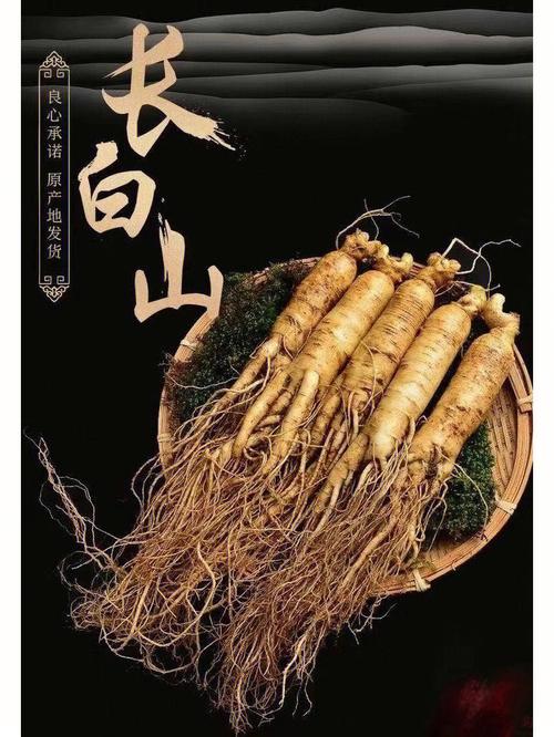 新鲜人参如何吃,新鲜人参如何吃效果好的功效与作用-新鲜人参如何吃,新鲜人参如何吃效果好的图片样子
