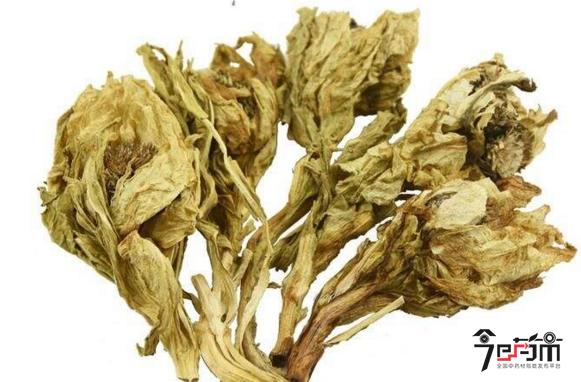 旱莲花的功效与作用,雪莲花的功效与作用的功效与作用-旱莲花的功效与作用,雪莲花的功效与作用的图片样子