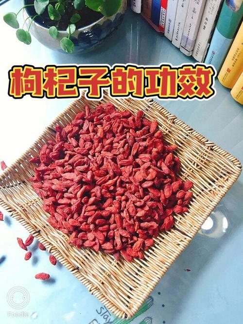 枸杞的功效与作用及正确吃法,枸杞的功效与作用及食用方法介绍的功效与作用-枸杞的功效与作用及正确吃法,枸杞的功效与作用及食用方法介绍的图片样子