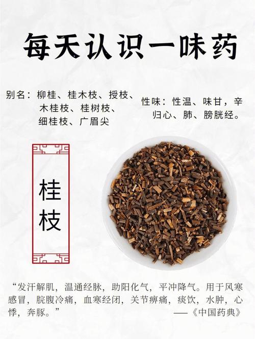 桂枝10克有毒吗,桂枝的毒副作用的功效与作用-桂枝10克有毒吗,桂枝的毒副作用的图片样子