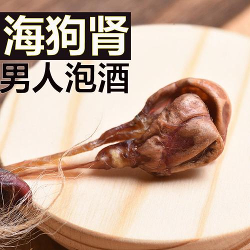 海狗肾是什么中药,中药海狗肾的功效与作用及禁忌的功效与作用-海狗肾是什么中药,中药海狗肾的功效与作用及禁忌的图片样子