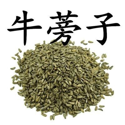 牛蒡子草药的功效与作用-牛蒡子草药的图片样子