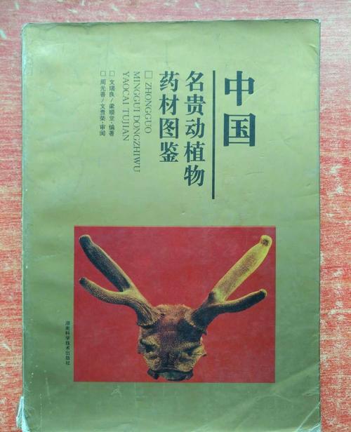 珍贵动物药材有哪些,动物类四大名贵药材的功效与作用-珍贵动物药材有哪些,动物类四大名贵药材的图片样子