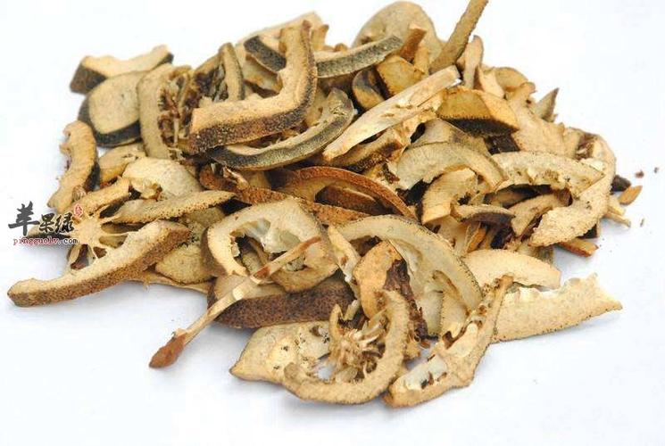 白术枳壳的功效与作用,白术与枳壳合用功效的功效与作用-白术枳壳的功效与作用,白术与枳壳合用功效的图片样子
