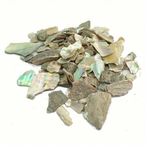 石决明别名叫什么,石决明的别名叫什么的功效与作用-石决明别名叫什么,石决明的别名叫什么的图片样子
