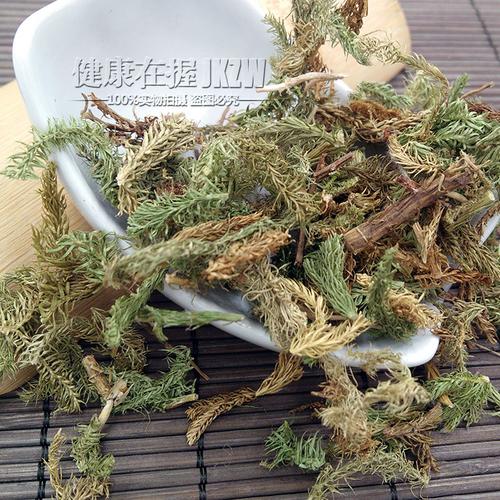 石松伸筋草的功效和作用,石松草的功效与作用讲解的功效与作用-石松伸筋草的功效和作用,石松草的功效与作用讲解的图片样子