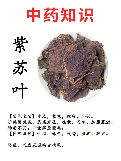 紫苏叶的药用价值和功效,紫苏叶有什么药用价值和功效的功效与作用-紫苏叶的药用价值和功效,紫苏叶有什么药用价值和功效的图片样子