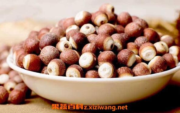 芡实米的功效与作用及食用方法,芡实米有什么营养的功效与作用-芡实米的功效与作用及食用方法,芡实米有什么营养的图片样子
