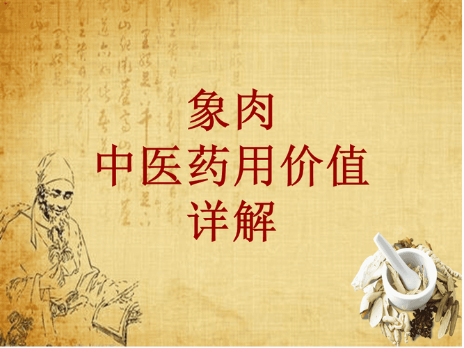 象肉的功效与作用-象肉的图片样子