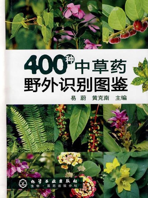 野生中草药的功效与作用-野生中草药的图片样子