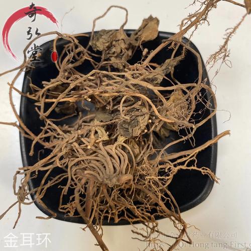 金耳环草药,金耳环草药的功效与作用-金耳环草药,金耳环草药的图片样子