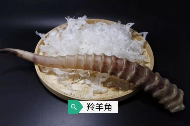 2022年一根羚羊角的功效与作用-2022年一根羚羊角的图片样子