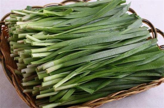 中医韭菜的功效与作用,中医韭菜的功效与作用是什么的功效与作用-中医韭菜的功效与作用,中医韭菜的功效与作用是什么的图片样子