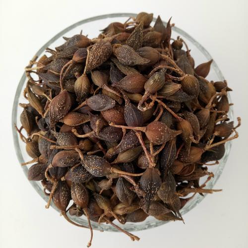 中药材连翘最新价格行情,中药材连翘最新价格行情走势的功效与作用-中药材连翘最新价格行情,中药材连翘最新价格行情走势的图片样子
