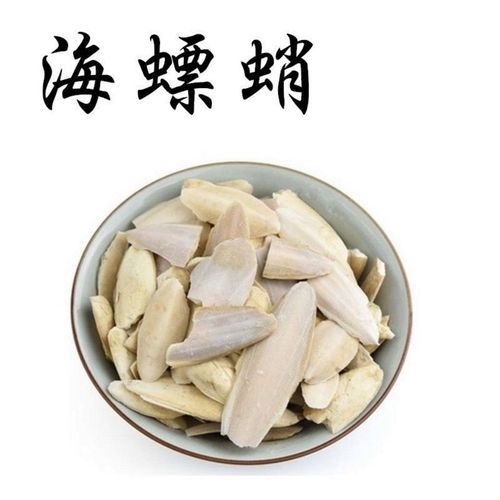 乌贼海螵蛸,乌贼海怪的功效与作用-乌贼海螵蛸,乌贼海怪的图片样子