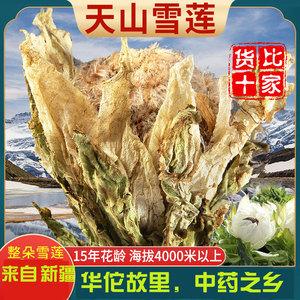 天山雪莲晒干后的功效与作用-天山雪莲晒干后的图片样子