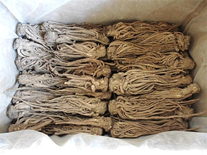当归价格中药材天地网,当归价格2019最新价格的功效与作用-当归价格中药材天地网,当归价格2019最新价格的图片样子